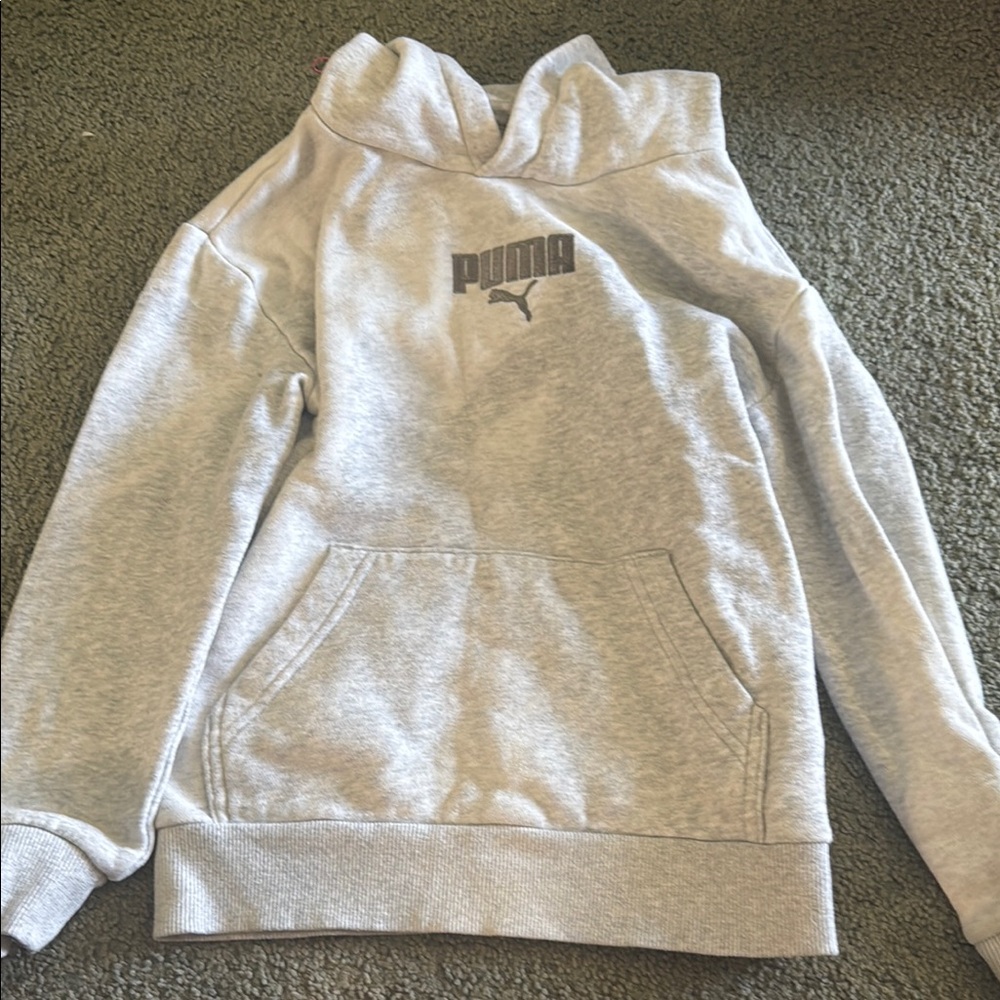 Puma Gray Hoodie